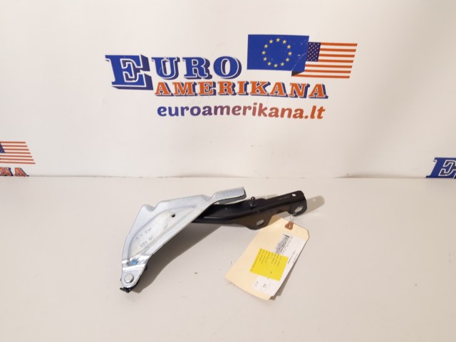 Hinge (left)